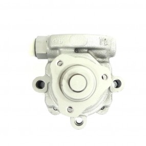 Servopumpe ROVER 200